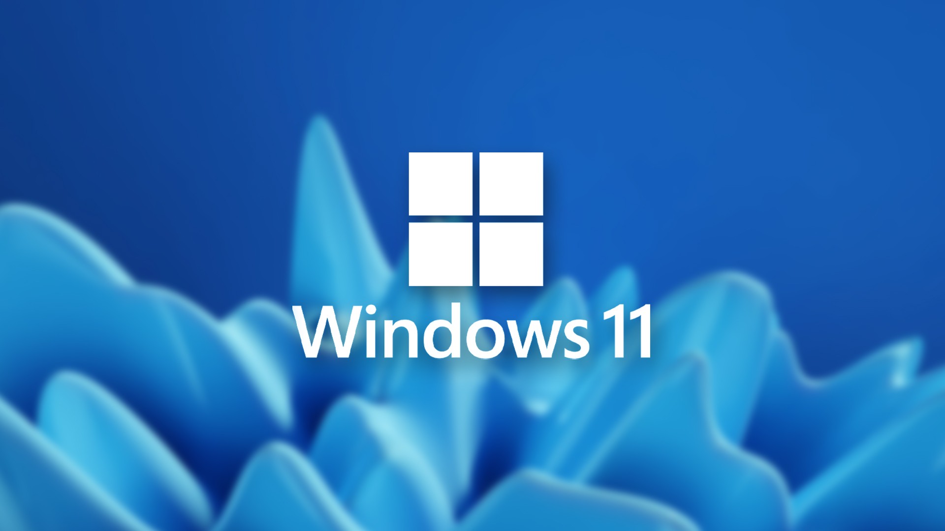 Windows 11, Görüntülü Aramaları İyileştiren Bir Özellik Getiriyor
