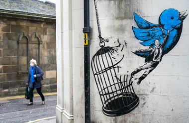 Twitter’ın Sizin İçin Arayüzü, Web Tarayıcılarında Kullanıma Sunuluyor