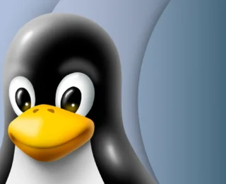 Windows ve macOS’u unutun